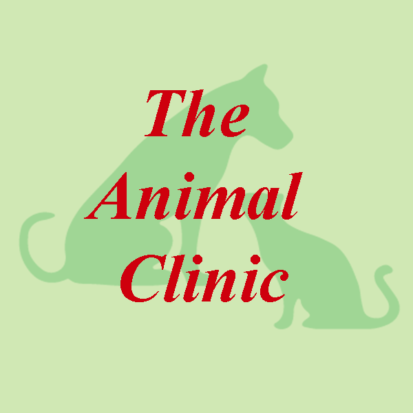 The Animal Clinic